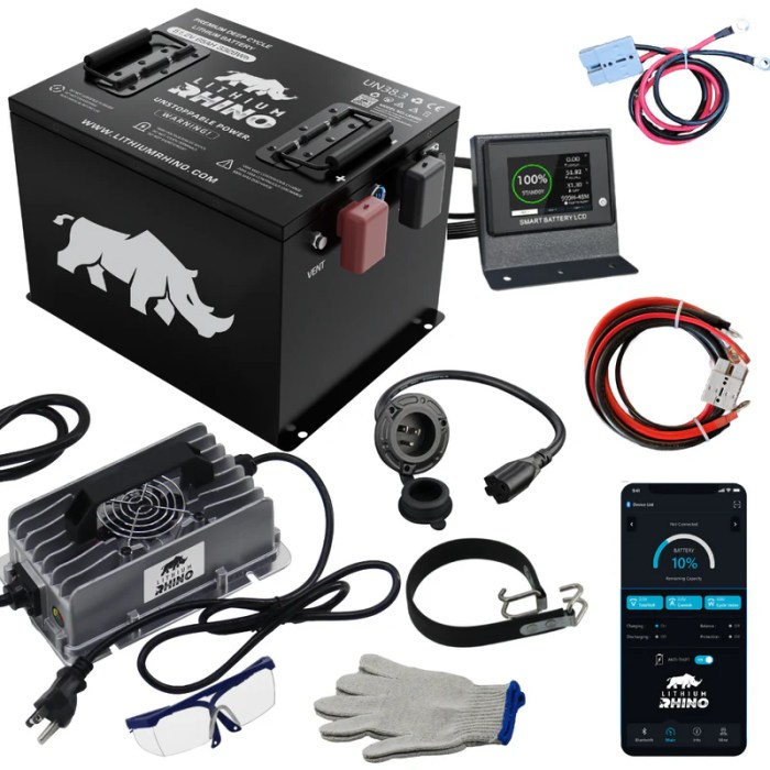 Lithium Rhino 51.2 Volt 65Ah High Output Lithium Battery Kit w/Fast Charger!